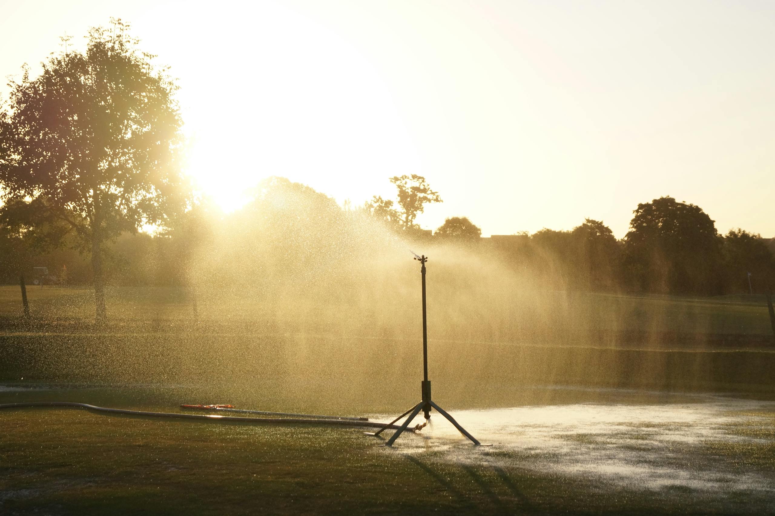 A sunset view of a sprinkler system watering a lush golf course, creating a serene atmosphere.